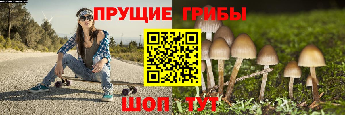 Псилоцибиновые грибы Cubensis Пугачёв