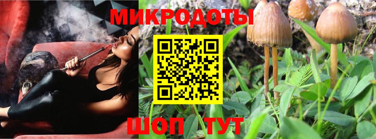 Псилоцибиновые грибы Psilocybe  Вход с VPN  Пугачёв 